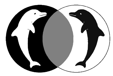 JOY Heilpraktikerpraxis für Paartherapie und Psychotherapie