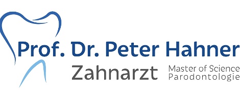 Prof. Dr. Peter Hahner