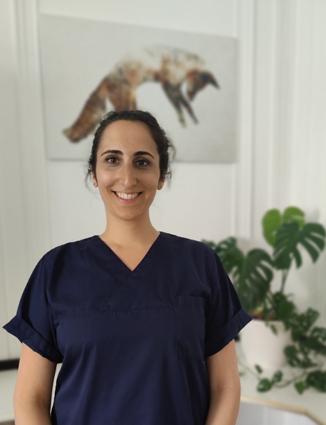 Zahnarzt Berlin-Friedenau – Zahnarztpraxis Doumit – Bundesallee