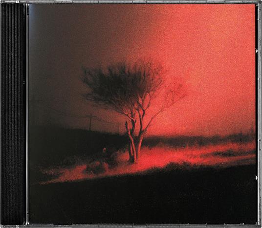 Joji Piss In The Wind Cd | Discoteca Laziale