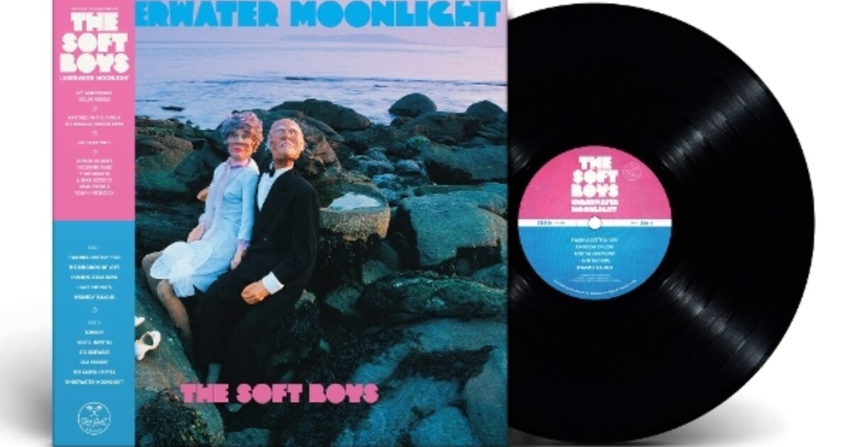 Soft Boys The Underwater Moonlight Lp | Discoteca Laziale