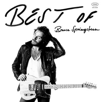 ◾️史上最高アイテム/究極10LPボックス■BRUCE SPRINGSTEEN / Springsteen Bruce Best Of Bruce Springsteen Lp | Discoteca Laziale