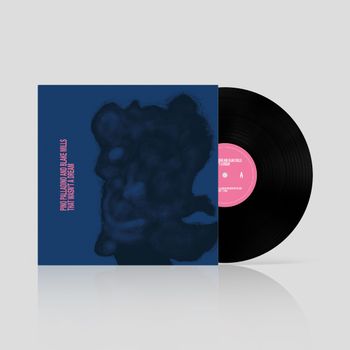 Palladino Pino & Mills Blake Notes With Attachments Lp | Discoteca