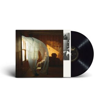 Kings Of Convenience Declaration Of Dependence Lp | Discoteca Laziale