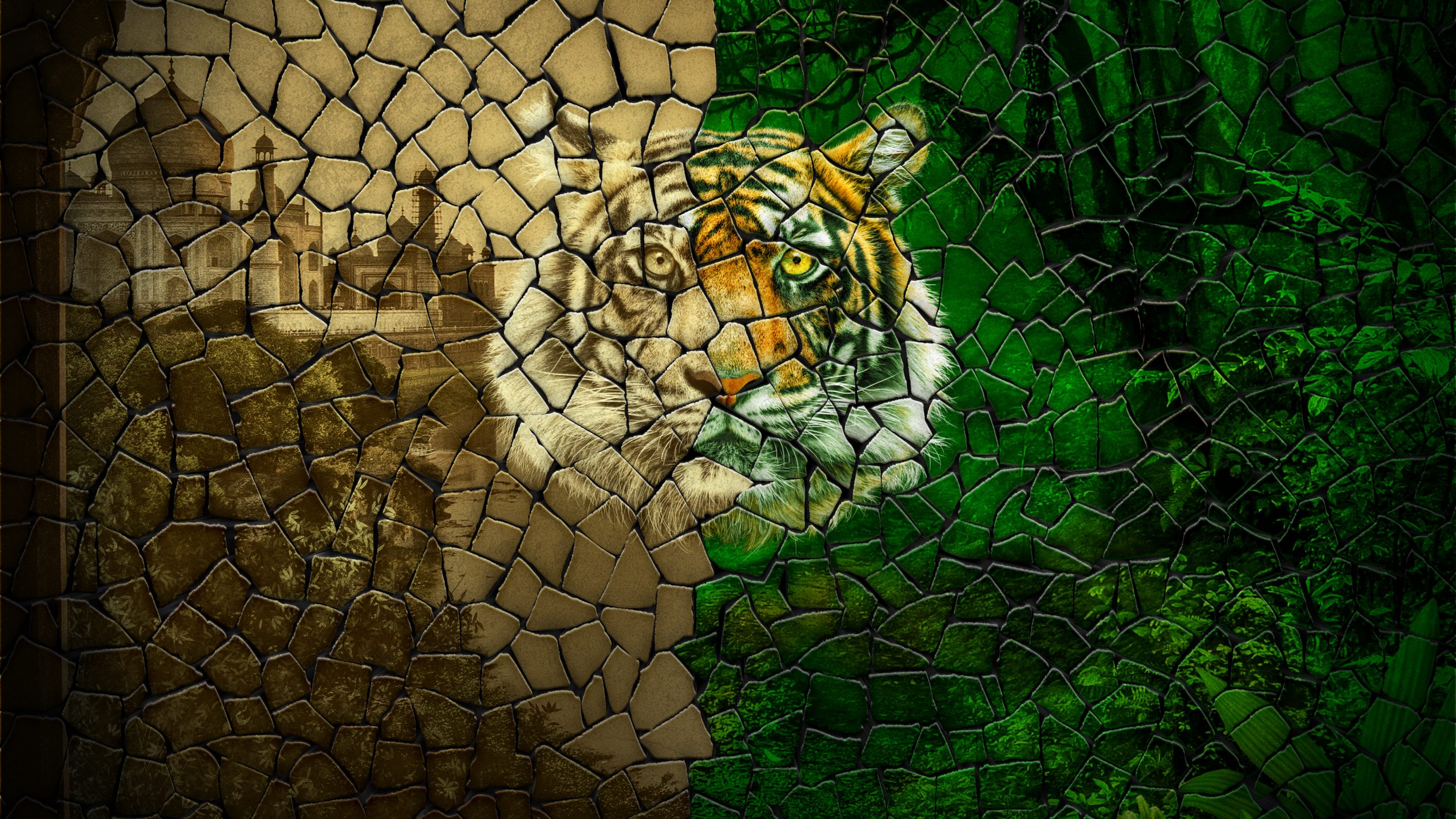 Tigerland Discovery UK