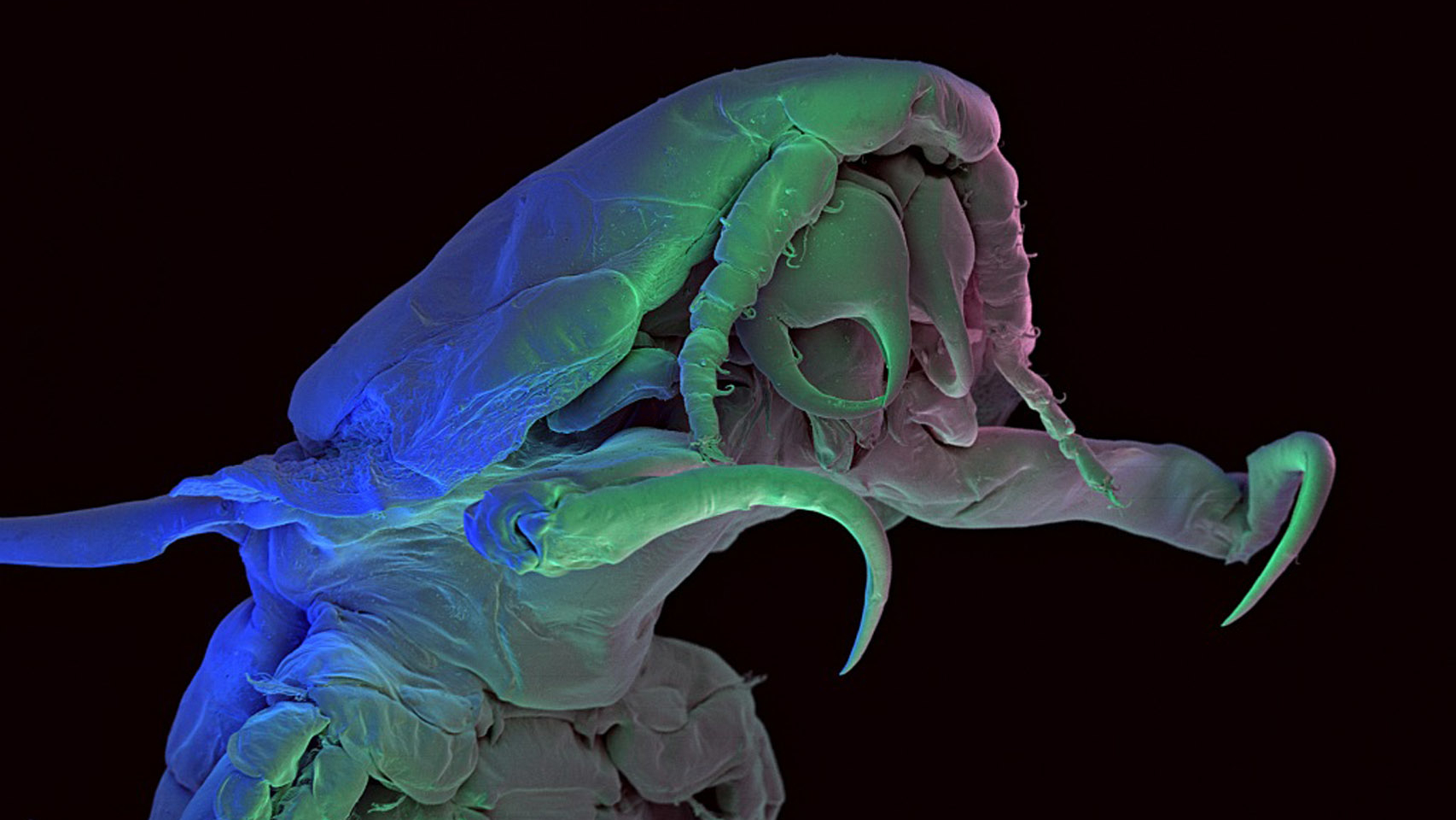 Invisible Worlds Discovery UK