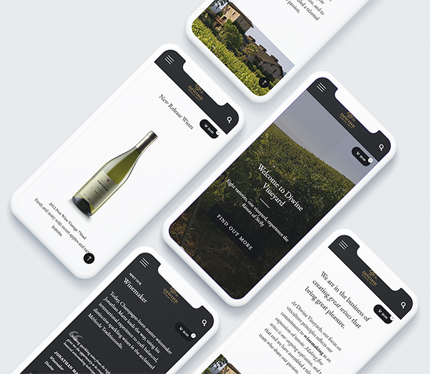 Diwine - Winery & Wine Shop, Vineyard WordPress Theme - 10