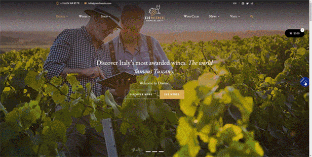 Diwine - Winery & Wine Shop, Vineyard WordPress Theme - 2