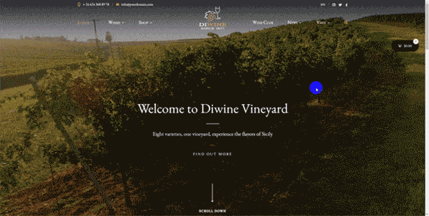 Diwine - Winery & Wine Shop, Vineyard WordPress Theme - 4