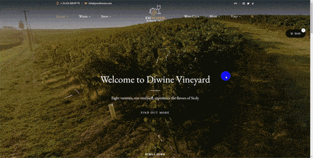 Diwine - Winery & Wine Shop, Vineyard WordPress Theme - 5