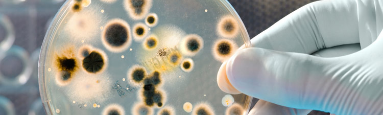 Bacteriële infecties
