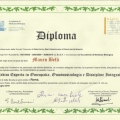 Ingrandire l'immagine: certificate 4