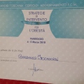 Ingrandire l'immagine: certificate 12