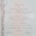 Ingrandire l'immagine: certificate 1