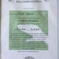 Ingrandire l'immagine: certificate 1