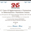 Ingrandire l'immagine: certificate 1
