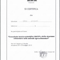 Ingrandire l'immagine: certificate 6