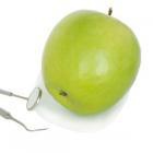 Dott. Nicolò Naccarato