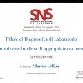 Ingrandire l'immagine: certificate 2