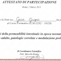 Ingrandire l'immagine: certificate 1