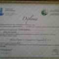 Ingrandire l'immagine: certificate 5