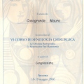 Ingrandire l'immagine: certificate 4