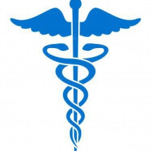 Ingrandire l'immagine: Elena Ivanova, dentista Stagno