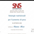 Ingrandire l'immagine: certificate 3