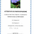 Ingrandire l'immagine: certificate 4