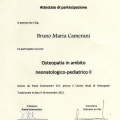 Ingrandire l'immagine: certificate 4