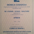 Ingrandire l'immagine: certificate 8