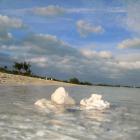 Dr. Fabio Maria Salerno