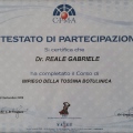 Ingrandire l'immagine: certificate 4
