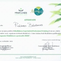 Ingrandire l'immagine: certificate 7
