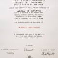 Ingrandire l'immagine: certificate 1