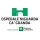Fondazione IRCCS Ca' Granda - Ospedale Maggiore Policlinico
