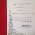Ingrandire l'immagine: certificate 7