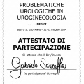 Ingrandire l'immagine: certificate 12