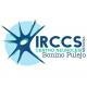 Irccs Centro Neurolesi "Bonino Pulejo"