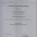 Ingrandire l'immagine: certificate 2