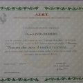 Ingrandire l'immagine: certificate 20