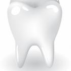 Dott.ssa Elena Della Pina