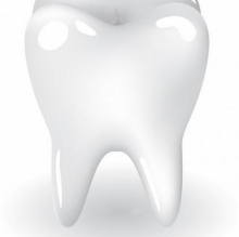 Ingrandire l'immagine: Elena Della Pina, dentista Carrara