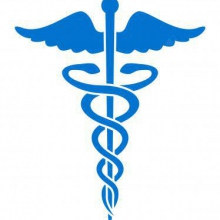 Ingrandire l'immagine: Luciano Falduto, dentista Livorno