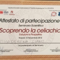 Ingrandire l'immagine: certificate 5