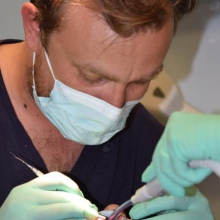 Ingrandire l'immagine: Luca Ghionzoli, dentista Livorno