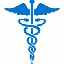 Ingrandire l'immagine: Gloria Gaido, dentista Alpignano