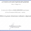 Ingrandire l'immagine: certificate 2
