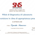 Ingrandire l'immagine: certificate 4