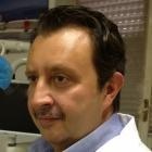 Dr. Andrea Silvestri